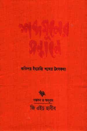 শব্দমূলের সন্ধানে